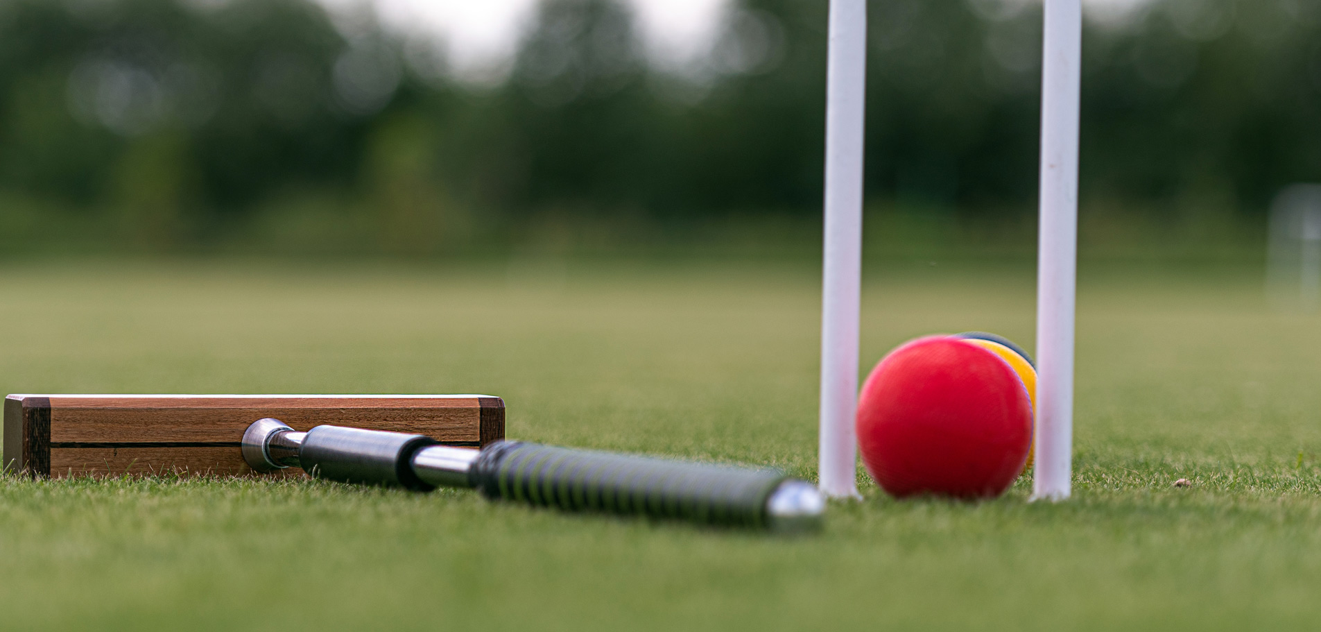 cricket-liste-slider-1